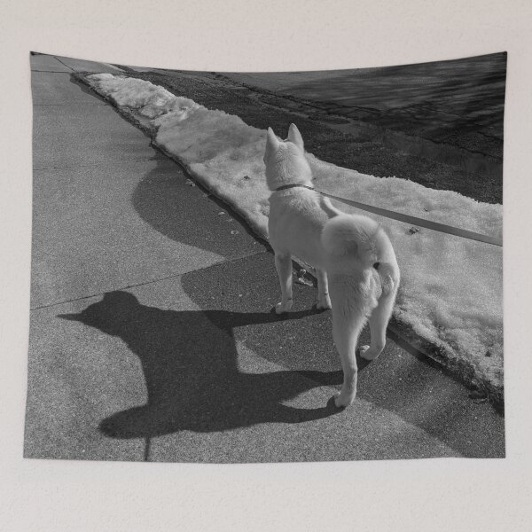 Item preview, Walking an Akita Dog with Perfect Shadow Black and White Photograph designed and sold by Shanestillz.