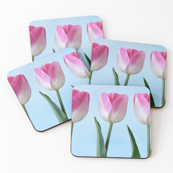 Item preview, Tulipa  'Innuendo'  Tulip  Triumph Group  designed and sold by Chris Burrows.