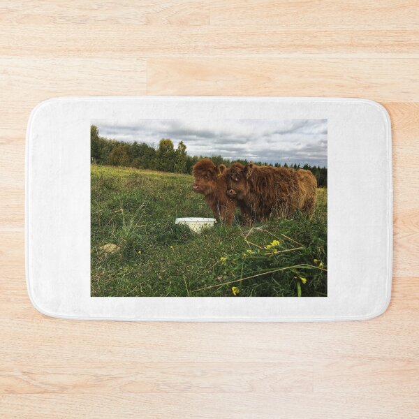 Item preview, Scottish Highland Cattle Calves 2539 designed and sold by SaarelaHighland.