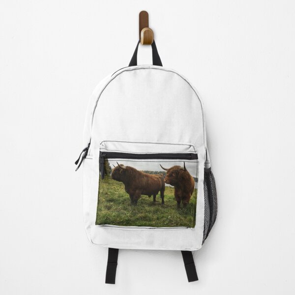 Item preview, Scottish Highland Cattle Bulls 2541 designed and sold by SaarelaHighland.