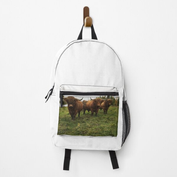Item preview, Scottish Highland Cattle Bulls 2542 designed and sold by SaarelaHighland.
