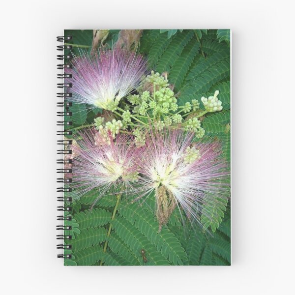 Item preview, Mimosa Blooms designed and sold by roadwarriorart.