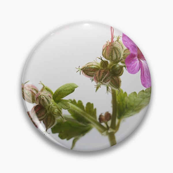 Item preview, Pelargonium Graveolens. designed and sold by Paul Pasco.