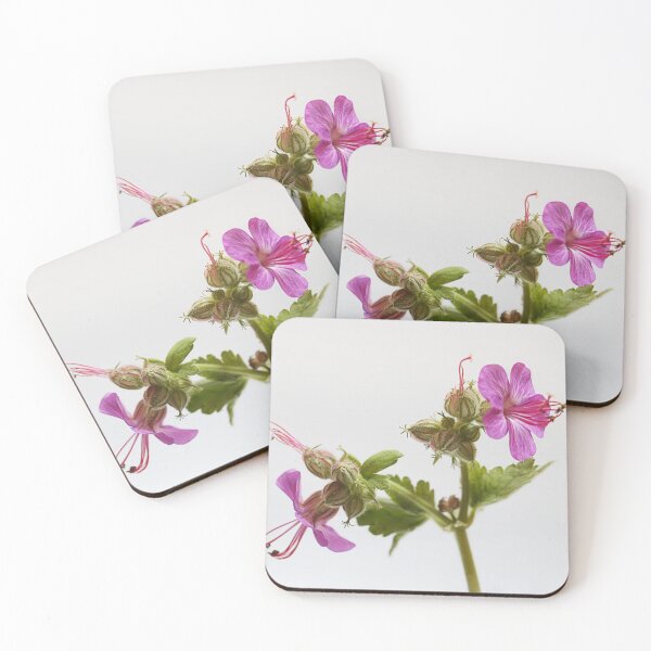 Item preview, Pelargonium Graveolens. designed and sold by Paul Pasco.