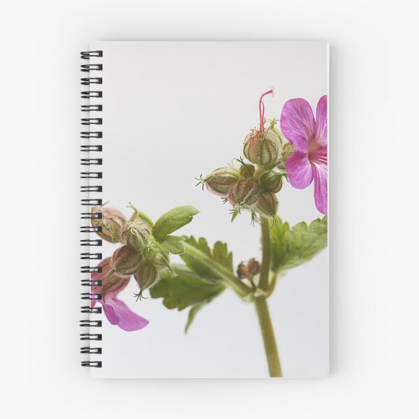 Item preview, Pelargonium Graveolens. designed and sold by Paul Pasco.