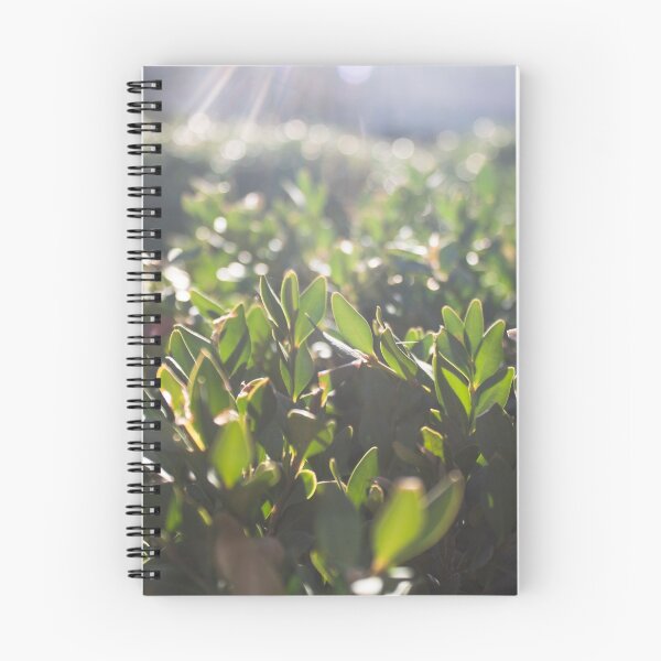 Item preview, Leaflets designed and sold by KristenRV.