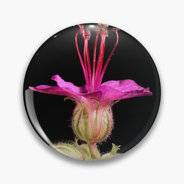 Item preview, Dancer. designed and sold by Paul Pasco.