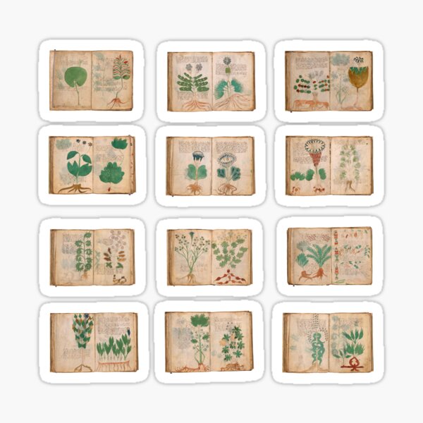 Item preview, The Voynich Manuscript pack - 24 pages set designed and sold by Try-It.