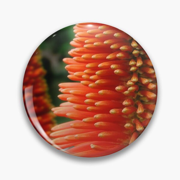 Aperçu de l'œuvre Fleur rouge-orange d'Eremurus Ruiter-Hybride créée et vendue par Jola Martysz.