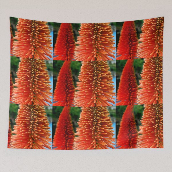 Aperçu de l'œuvre Fleur rouge-orange d'Eremurus Ruiter-Hybride créée et vendue par Jola Martysz.