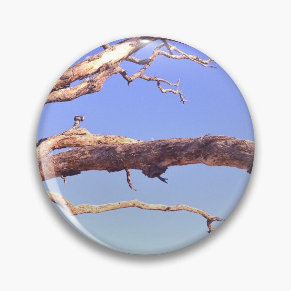 Item preview, Driftwood en el cielo en Jekyll Island Georgia designed and sold by LisaWootenPhoto.
