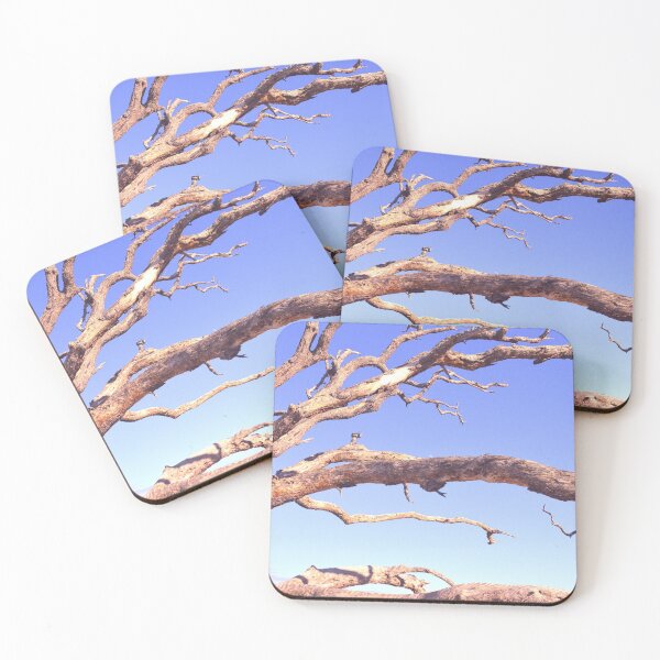 Item preview, Driftwood en el cielo en Jekyll Island Georgia designed and sold by LisaWootenPhoto.
