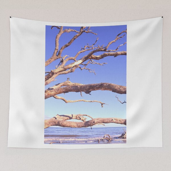 Item preview, Driftwood en el cielo en Jekyll Island Georgia designed and sold by LisaWootenPhoto.
