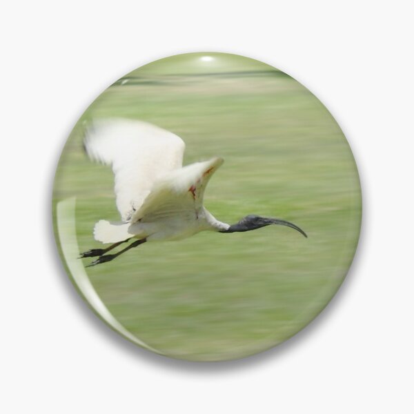 Item preview, Flying Ibis designed and sold by Jola Martysz.