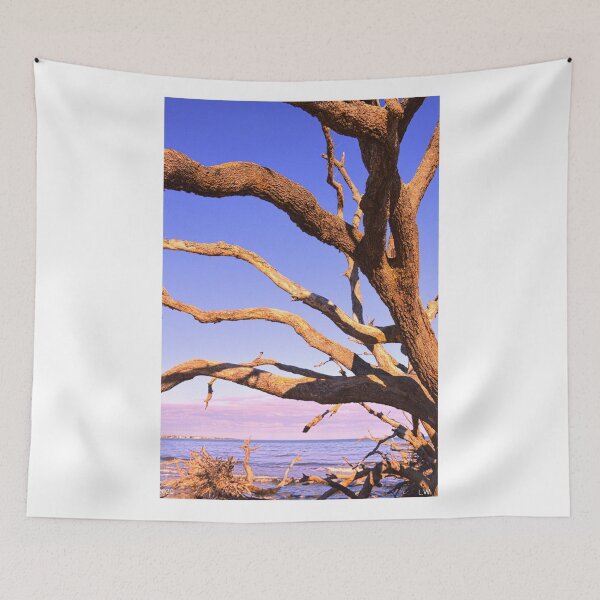 Aperçu de l'œuvre Bois flotté vertical de Jekyll Island créée et vendue par LisaWootenPhoto.