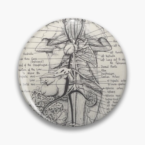 Item preview, Anatomy Diagram of a Rabbit designed and sold by FunnyScot.
