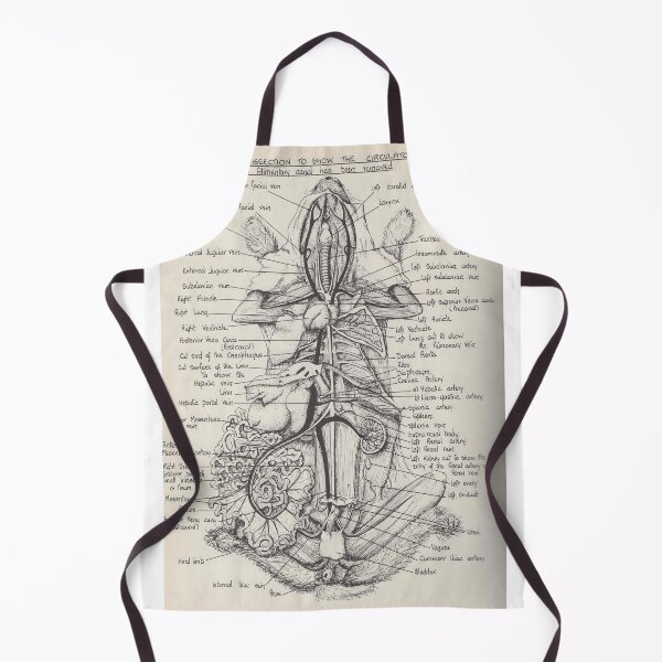 Item preview, Anatomy Diagram of a Rabbit designed and sold by FunnyScot.