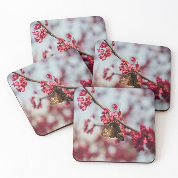 Item preview, Pink Sakura Butterfly Moth Spring Blooms designed and sold by JLPhotographer.