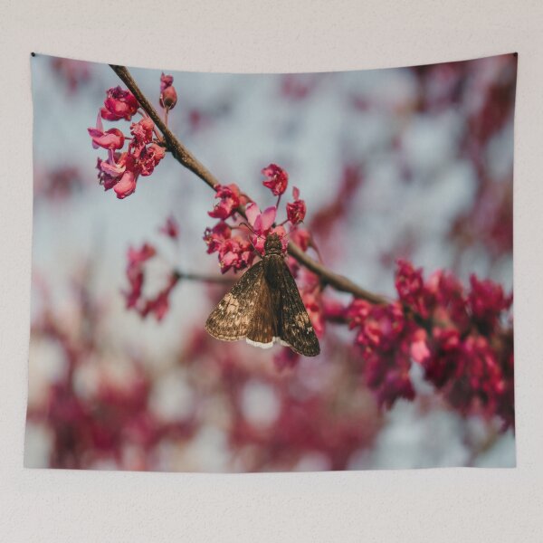 Item preview, Pink Sakura Butterfly Moth Spring Blooms designed and sold by JLPhotographer.