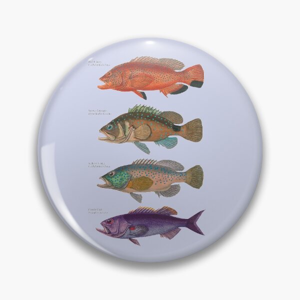 Item preview, Grouper Species Sea Bass Fish Fishing Angling Gulf Mexico Caribbean designed and sold by TheAplus.