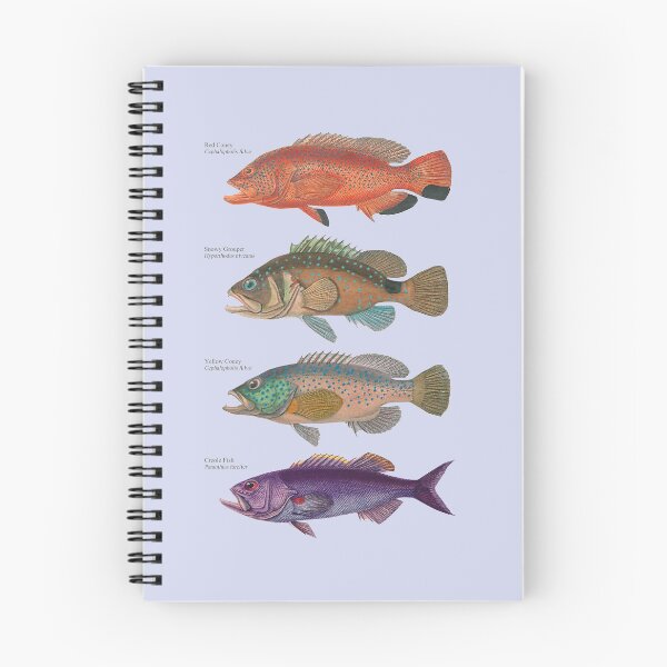 Item preview, Grouper Species Sea Bass Fish Fishing Angling Gulf Mexico Caribbean designed and sold by TheAplus.