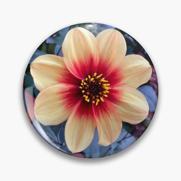 Item preview, Peach Flower designed and sold by Krizena.