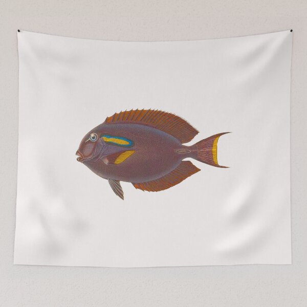 Item preview, Surgeonfish Tang Acanthurus Coralfish Reef Fish Saltwater Aquarium  designed and sold by TheAplus.