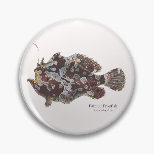 Item preview, Frogfish Toadfish Coralfish Reef Fish Saltwater Aquarium Antennarius designed and sold by TheAplus.