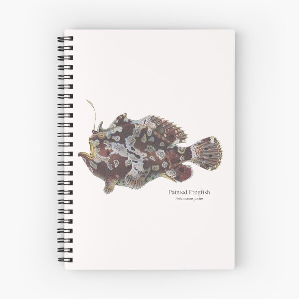 Item preview, Frogfish Toadfish Coralfish Reef Fish Saltwater Aquarium Antennarius designed and sold by TheAplus.
