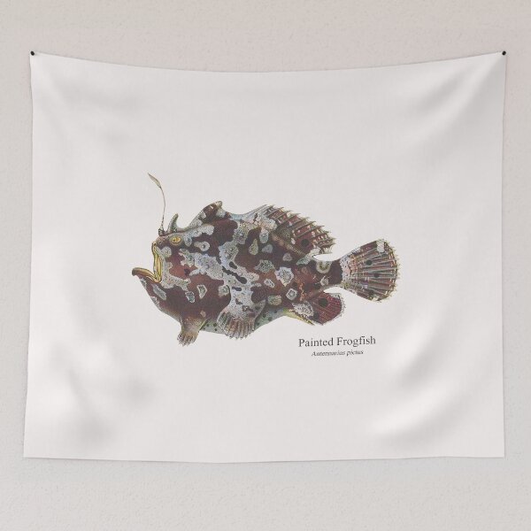 Item preview, Frogfish Toadfish Coralfish Reef Fish Saltwater Aquarium Antennarius designed and sold by TheAplus.