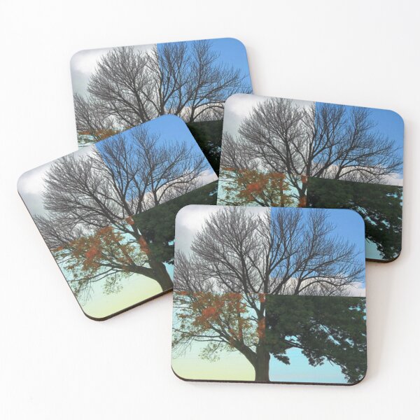 Artikelvorschau, Four Seasons Tree Foto - Ein Baum durch die vier Jahreszeiten entworfen und verkauft von molamode.