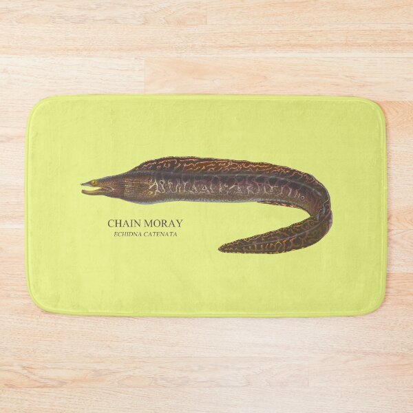 Item preview, Moray Eel Coralfish Reef Fish Saltwater Aquarium Echidna designed and sold by TheAplus.