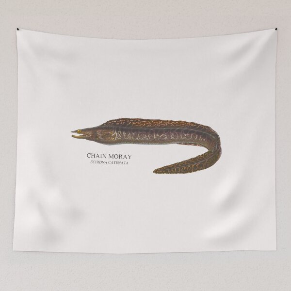 Item preview, Moray Eel Coralfish Reef Fish Saltwater Aquarium Echidna designed and sold by TheAplus.