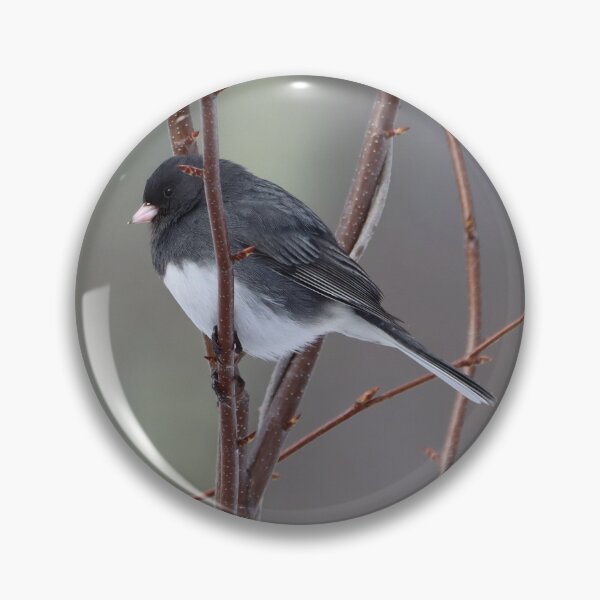 Item preview, Dark-eyed Junco in Winter designed and sold by LisaNaturePhoto.
