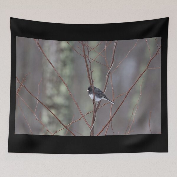 Item preview, Dark-eyed Junco in Winter designed and sold by LisaNaturePhoto.