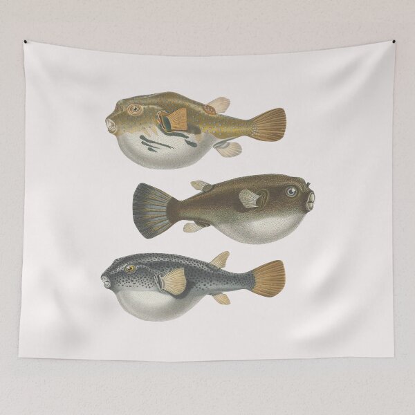 Item preview, Puffer Pufferfish Reef Tank Fish Keeper Saltwater Aquarium Tetraodon designed and sold by TheAplus.