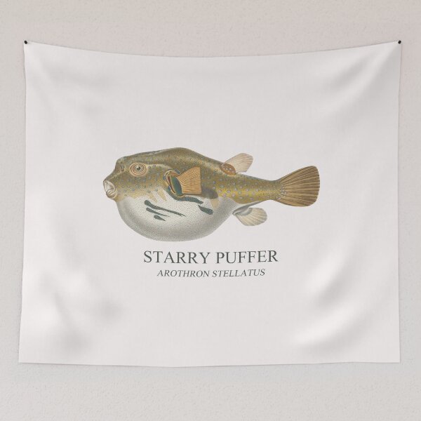 Item preview, Starry Puffer Pufferfish Reef Tank Fish Keeper Saltwater Aquarium Tetraodon 2 designed and sold by TheAplus.