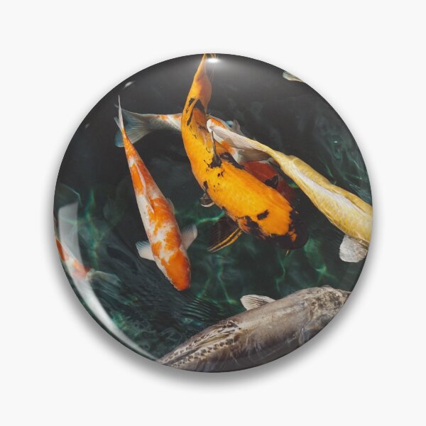 Item preview, Colours fish in Sea designed and sold by WowNatureWorld.