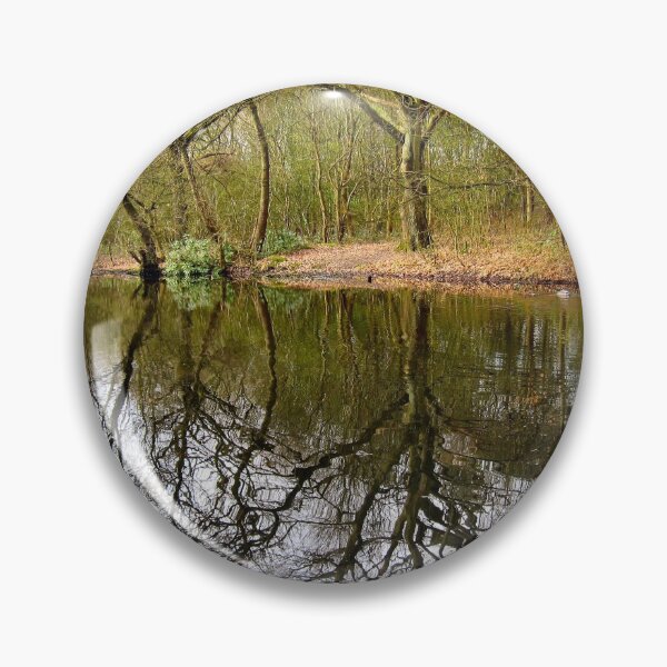 Aperçu de l'œuvre POND REFLECTIONS. créée et vendue par ronsaunders47.