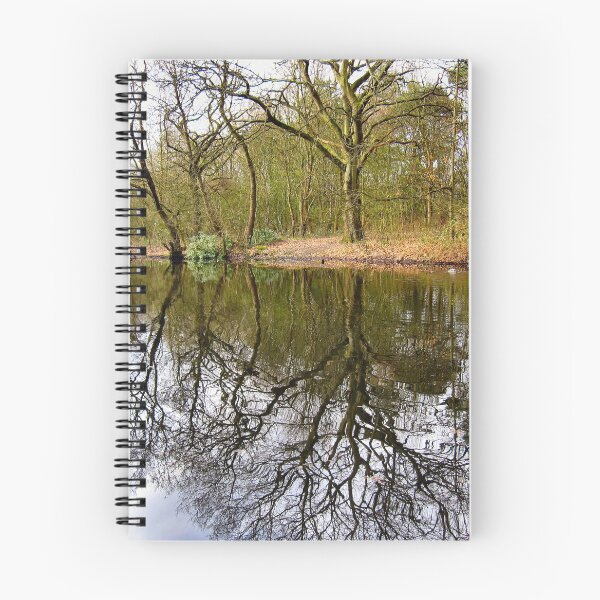 Aperçu de l'œuvre POND REFLECTIONS. créée et vendue par ronsaunders47.