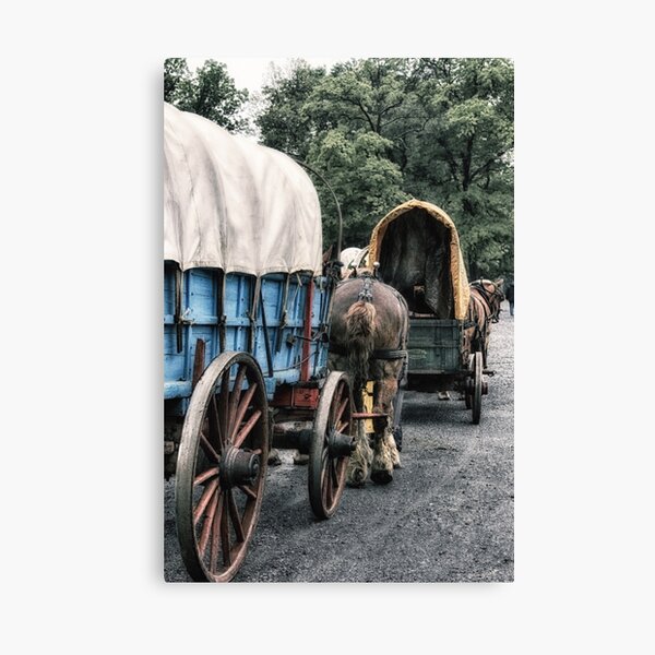 Aperçu de l'œuvre Le train à cheval créée et vendue par ArtbyDigman.