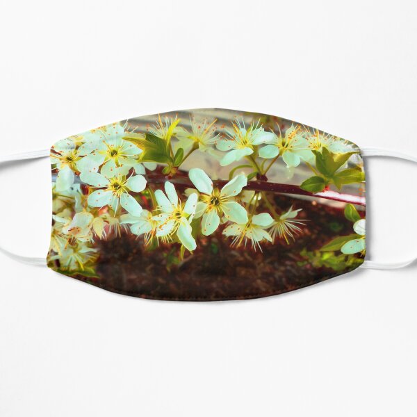 Spring Flat Mask