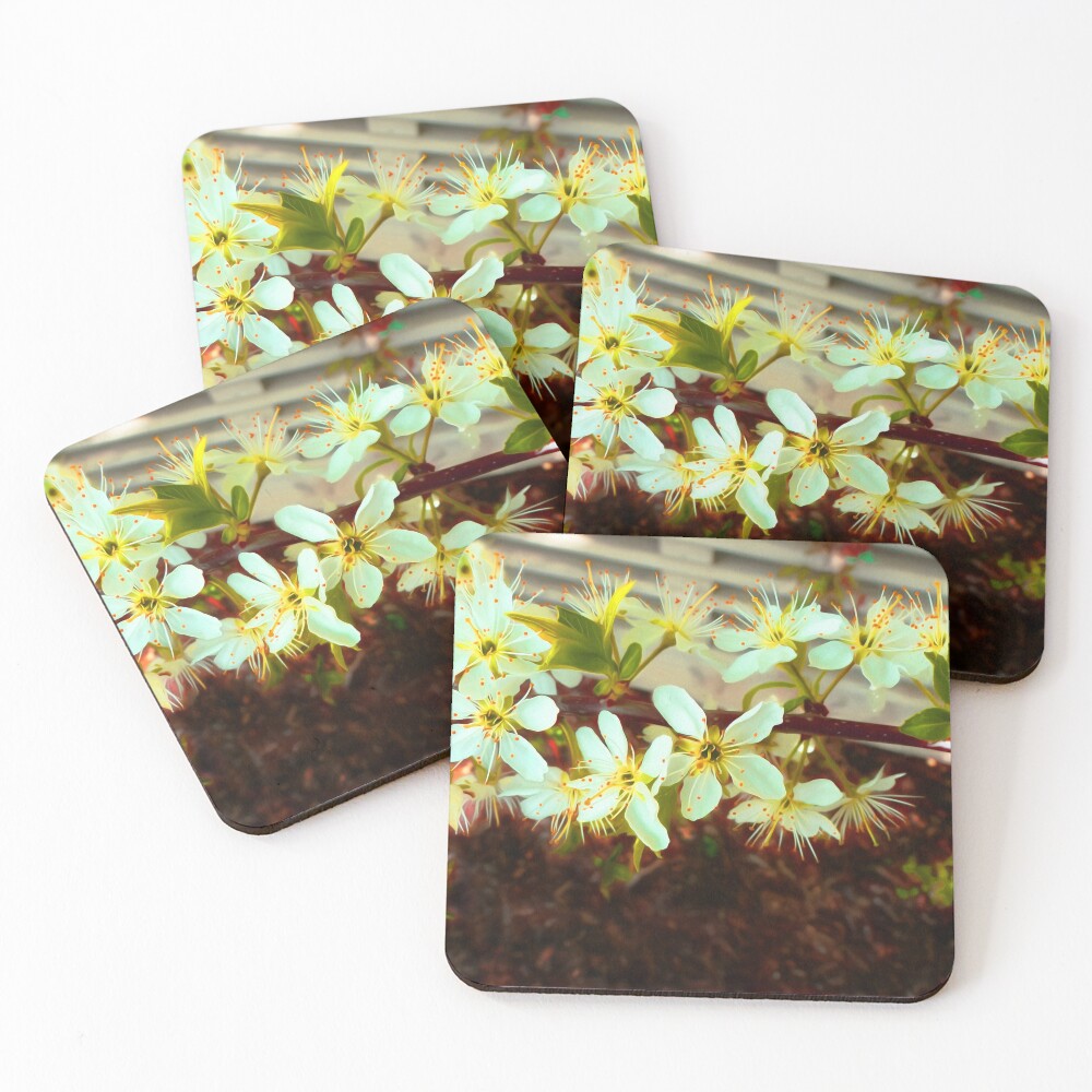 Item preview, Coasters (Set of 4) designed and sold by floatingspider.