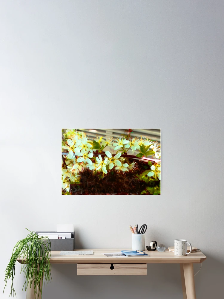 Thumbnail 2 of 3, Poster, Spring designed and sold by floatingspider.