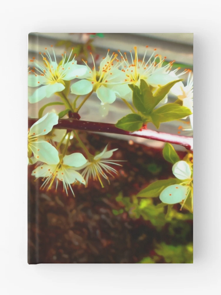 Thumbnail 1 of 3, Journal, Spring designed and sold by floatingspider.