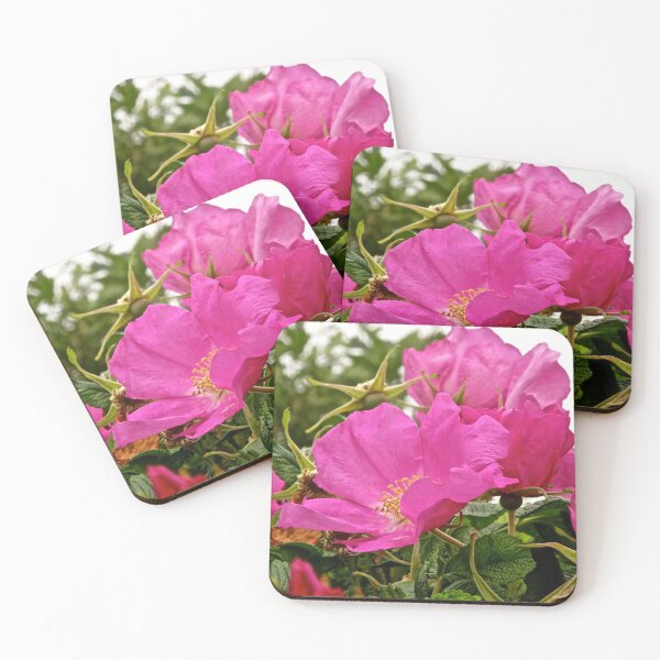 Item preview, Wild roses designed and sold by Shulie1.