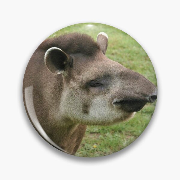 Artikelvorschau, Glücklicher Tapir entworfen und verkauft von Fearless-Fox.