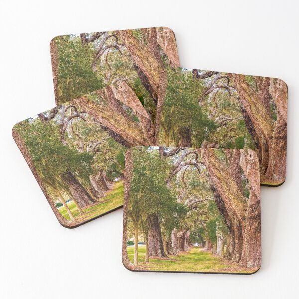 Item preview, Ancient Oaks in Rows designed and sold by dbvirago.