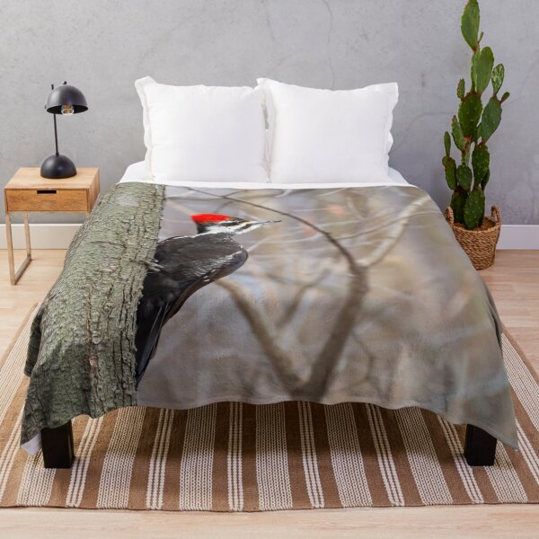 Item preview, Female Pileated Woodpecker Perched on a Tree Trunk designed and sold by Karen Hogan.