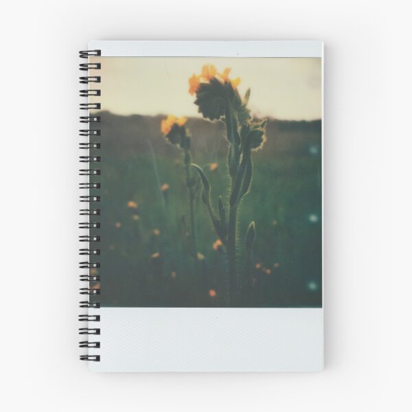 Item preview, fiddlenecks designed and sold by Jill Auville.